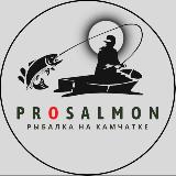 Аватарка канала Рыбалка на Камчатке/prosalmon.fishingkam