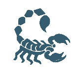 Аватарка канала Nature Science