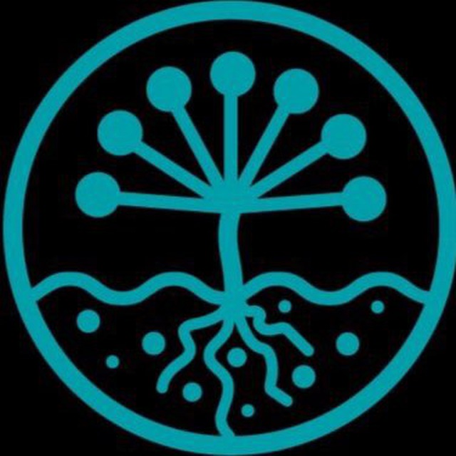 Аватарка канала БАШGROW