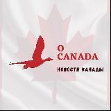 Аватарка канала CANADACATION 🇨🇦