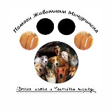 Аватар канала 1581021947