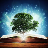 Аватарка канала Мудрые строки | Литература