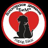 Аватарка канала БиМ ЕЙСК