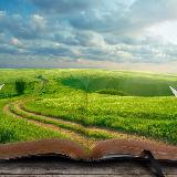 Аватарка канала Школа жизни: психология отношений и развития