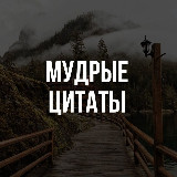 Аватарка канала Мудрые цитаты