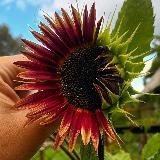 Аватар канала 2069279554