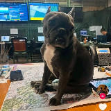 Аватарка канала Угольный #АртёмБибикНашСлон