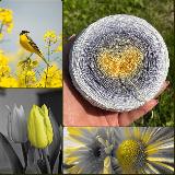 Аватар канала 2199862234