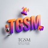 Аватарка канала "TGSM | Новости блогеров и стримеров"