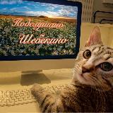 Аватарка канала Подслушано Шебекино