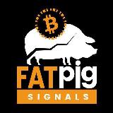 Аватарка канала Fat Pig Signals ®