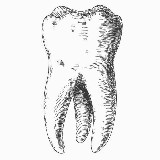 Аватарка канала ЗУБНЫЕ ТЕХНИКИ 🦷
