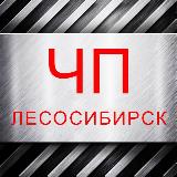 Аватарка канала ЧП Лесосибирск