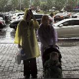 Аватарка канала "каутела🍄"