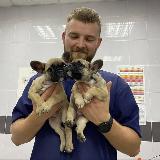 Аватар канала 2168004049