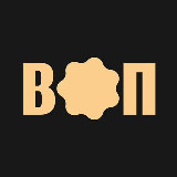 Аватарка канала ВОП: новости Португалии