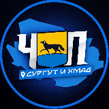Аватарка канала ЧП | СУРГУТ И ХМАО