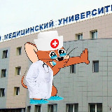 Аватарка канала Записки юного Вовчика