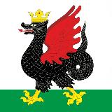 Аватарка канала Светлый Казань