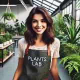Аватарка канала Plants Lab / Озеленение / Комнатные растения