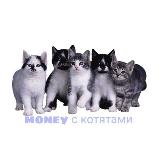 Аватар канала 2114397261