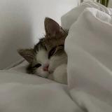 Аватарка канала "люблю"