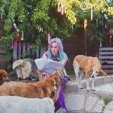 Аватарка канала Dog’n’Fox