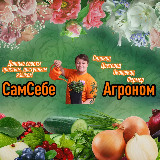 Аватарка канала СамСебеАгроном