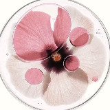 Аватар канала 2226406013