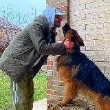 Аватарка канала Дрессировка собак.Наджарян Ромик