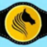 Аватарка канала Молдавская политика