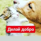 Аватар канала 1505499375