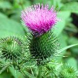 Аватар канала 1203028819