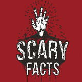 Аватарка канала Жуткие факты