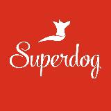 Аватарка канала SUPERDOG⚡️🐶