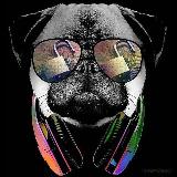 ETHICAL HACKERS avatar