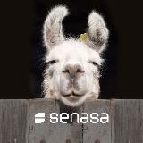Аватарка канала Senasa Argentina