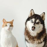 Аватар канала 1759766693