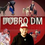 Аватарка канала DM - STUDIO