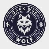 Аватарка канала Dark Web Wolf | Fixed Matches