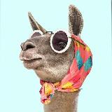 Аватарка канала Женская Корпорация ⚜️