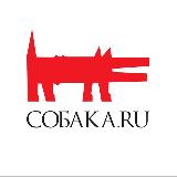 Аватарка канала НН.Собака.ru