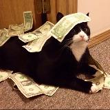 Аватарка канала "Накликал - Заработал 🤩🫰💵"