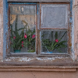 Аватарка канала Дом и соседи
