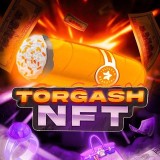 Аватарка канала "TORGASH NFT"