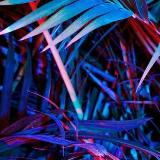 Аватарка канала аутизм и перфекционизм