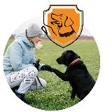 Аватарка канала Дрессировка собак СПб | Школа Кристины Скороспеховой