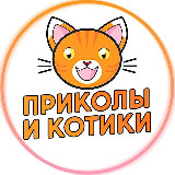 Аватарка канала Приколы и Котики