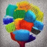 Аватарка канала Indrama: возможности для творческих людей