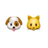 Аватарка канала Волонтеры, Фонд «НИКА»